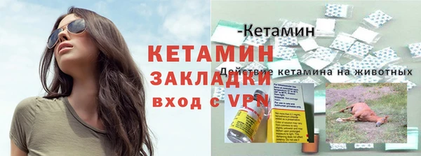 прущие грибы Сафоново