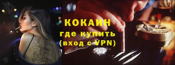 прущие грибы Сафоново